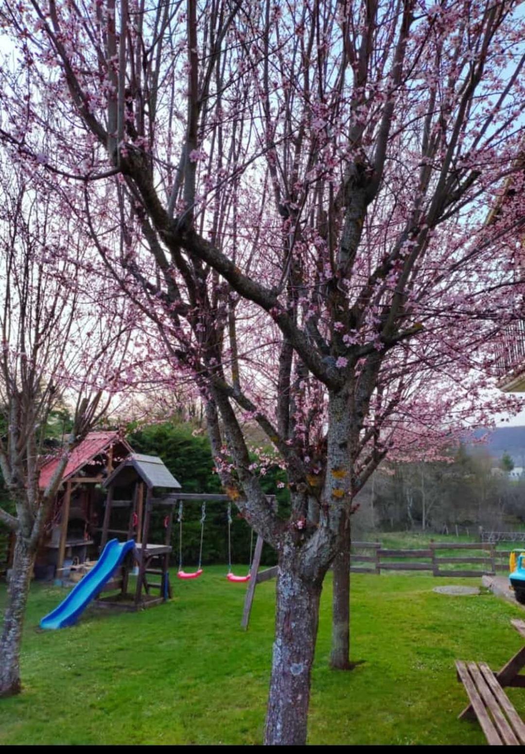 Apartamentos Goizeder Espinal-Auzperri Exteriér fotografie