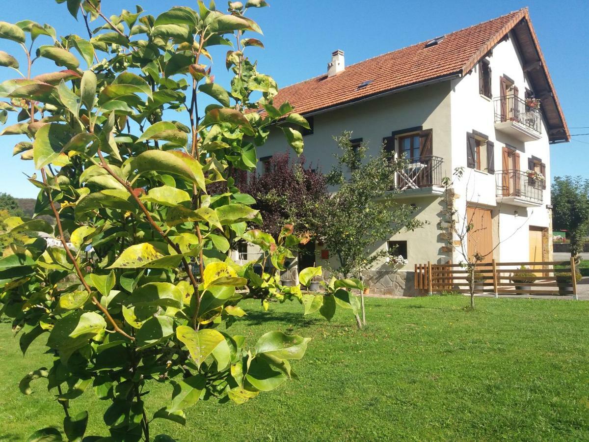 Apartamentos Goizeder Espinal-Auzperri Exteriér fotografie
